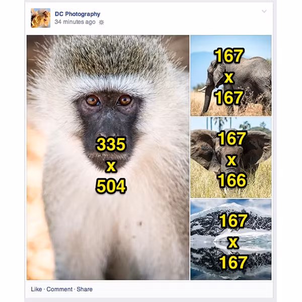 Cac kich co anh ly tuong tren Facebook-Hinh-18