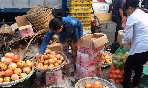 “Dac san Viet” goc Tau: Cu lua thap ky, ta tu hai minh-Hinh-3