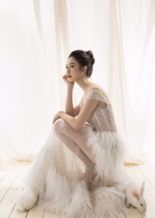 Hà Thu không quên gửi chúc mừng năm mới nhiều thành công và thắng lợi đến tất cả mọi người nhân dịp năm mới 2017.