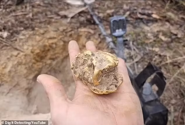 Sử dụng máy dò kim loại, ông tìm thấy kho báu nằm sâu gần 1 mét dưới gốc cây mục, sau hơn một giờ đào bới. (Ảnh:Daily Mail)