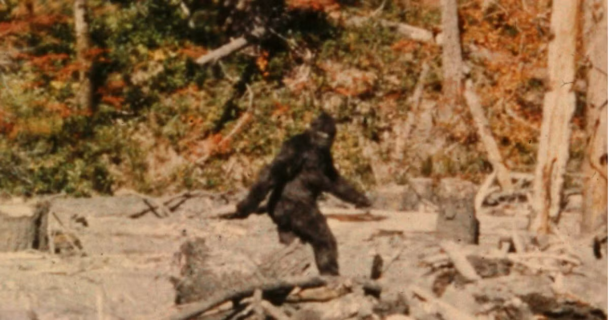 Câu chuyện về Bigfoot vẫn nằm giữa ranh giới "nửa thực, nửa hư".(Ảnh: KLCC)