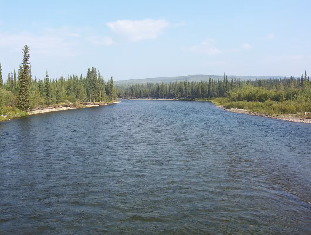 Dòng sông Klondike, nằm ở vùng Yukon của Canada, không chỉ là một dòng sông bình thường mà còn là biểu tượng của một thời kỳ lịch sử đầy biến động và hy vọng. (Ảnh:Wikipedia)