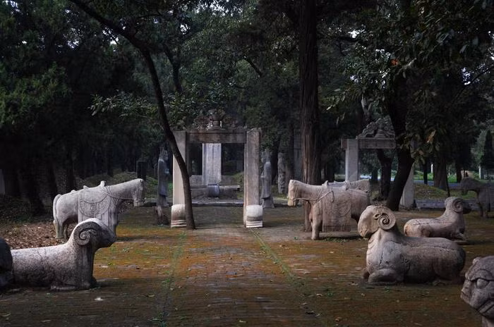Bên cạnh đó, Khổng Lâm còn được trồng nhiều loài hoa và thực vật có mùi hương tự nhiên xua đuổi rắn và côn trùng, tạo thành "hàng rào sinh học" bảo vệ khu mộ. (Ảnh: Sohu)