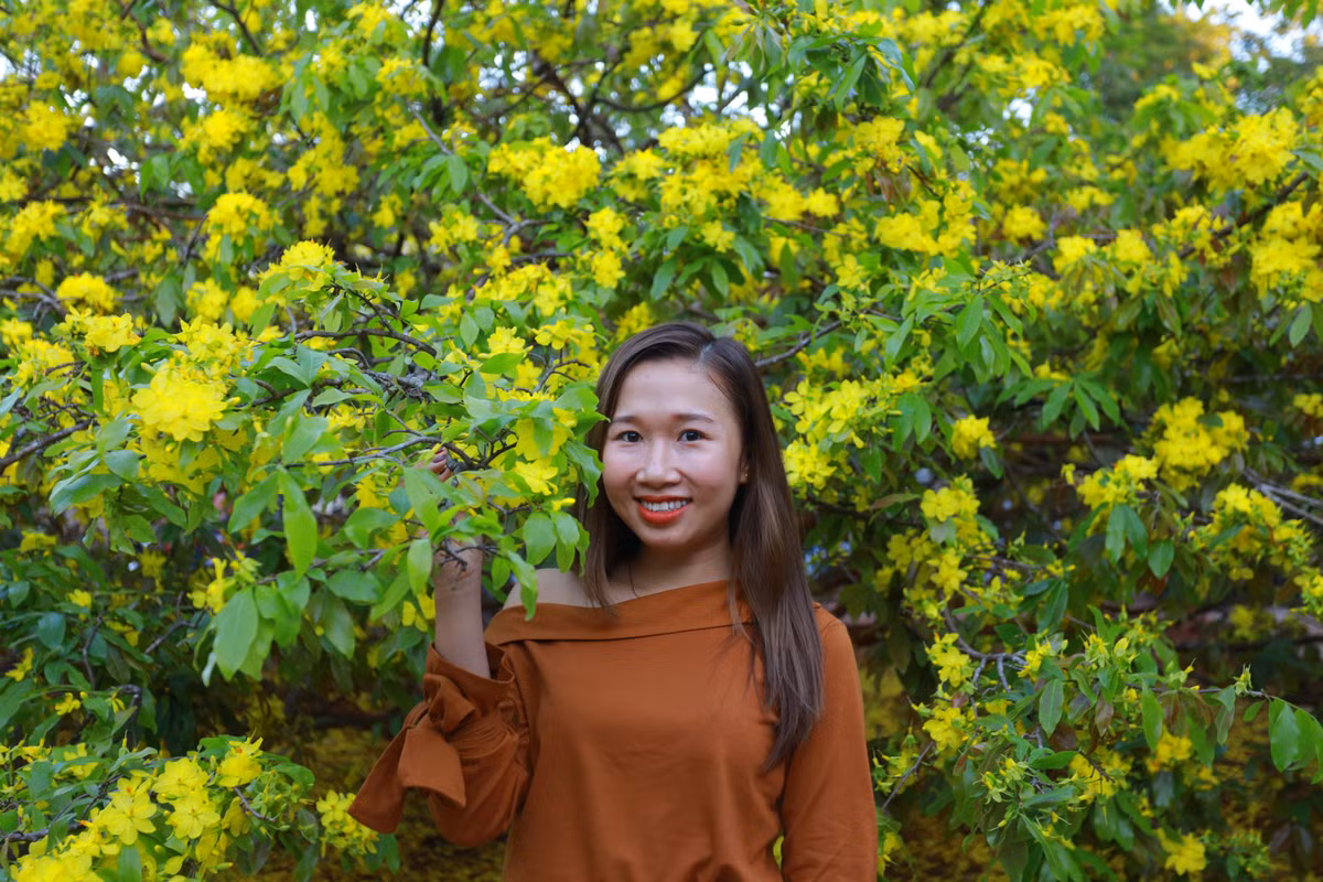 Cứ dịp Tết đến, mỗi ngày có hàng nghìn người người kéo đến chiêm ngưỡng, chụp ảnh. Nhiều không ngớt lời khen dành cho cây mai này.