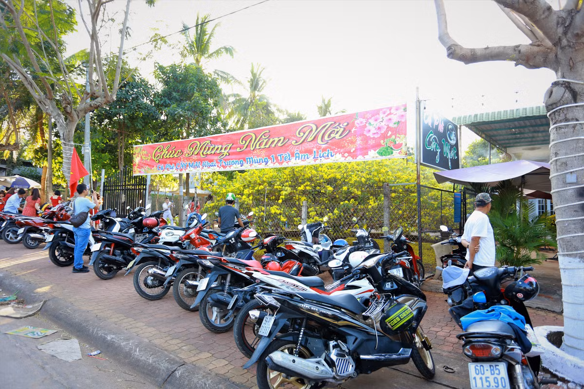 Xe cộ của những người tới thăm cây mai khủng nhất Việt Nam đậu kín vỉa hè những ngày đầu năm.