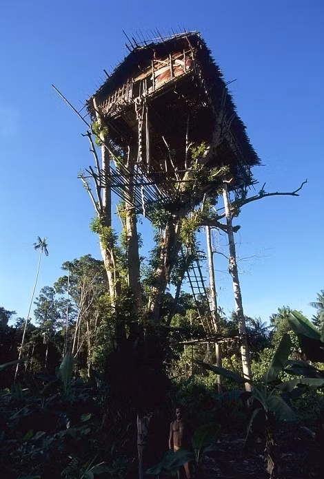 Tại những cánh rừng già phía đông nam tỉnh Papua của Indonesia có một bộ tộc bí ẩn sinh sống. Họ được gọi là bộ tộc Korowai, sống tách biệt hoàn toàn với thế giới bên ngoài, làm nhà rất cao và coi đó như một hình thức tự vệ. (Nguồn Sina)