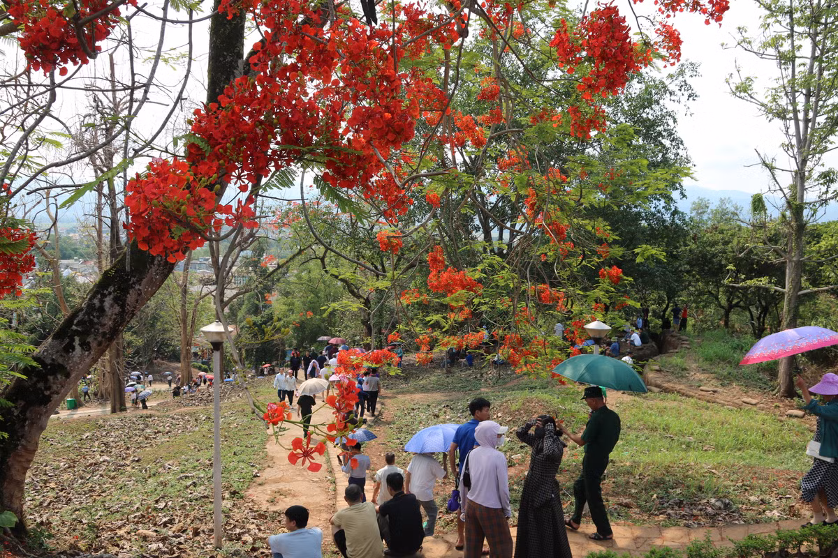 Đồi A1 là nơi thu hút rất nhiều du khách.