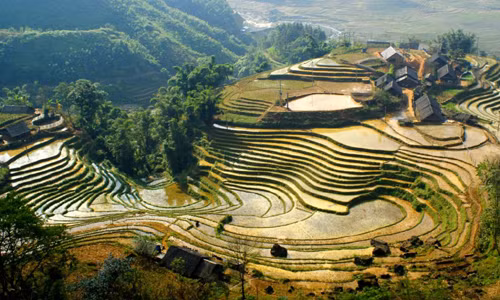 Sapa của Việt Nam được trang Frecked bình chọn là một trong 10 địa điểm hấp dẫn nhất châu Á. Sapa hấp dẫn du khách bởi những thửa ruộng bậc thang tuyệt đẹp cùng với cuộc sống độc đáo của người dân địa phương.