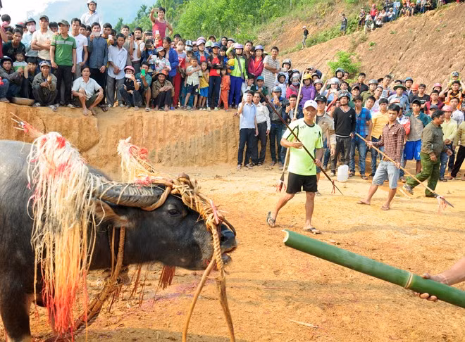 Chi hon 100 trieu lam le dam trau, dan lang kiet que-Hinh-2