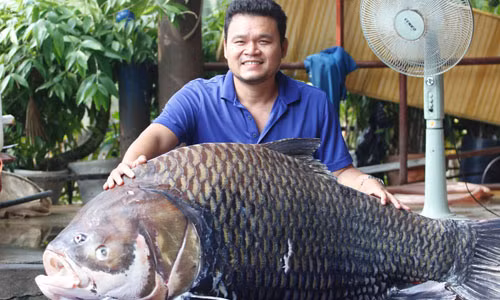 Ly lich nhung loai ca “khung” tung “boi” ve Sai Gon