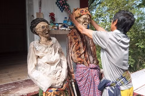 Ngoài ra, người Toraja còn có một nghi lễ mang tên Ma’Nene. Trong nghi lễ này, họ đào mộ, lấy xác rồi tắm, mặc quần áo, trang điểm rồi cho người chết diễu hành quanh làng. Nghi thức này diễn ra 3 năm một lần nhằm mục đích tưởng nhớ tới những người đã khuất.