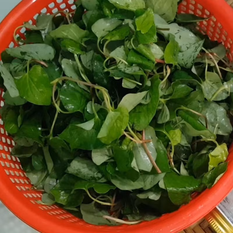 Nước ép rau diếp cá bổ dưỡng nhưng “đại kỵ” với một số người Nuoc ep rau diep ca bo duong nhung “dai ky” voi mot so nguoi