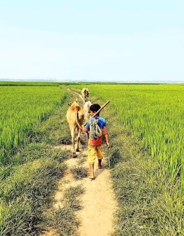 Những hình ảnh mới bình yên làm sao...