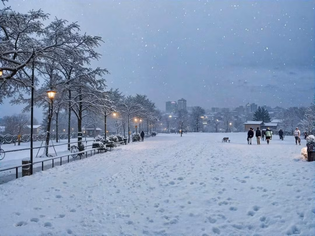 Nhiều người bày tỏ sự thích thú: "hồ Tây này lạ quá", "được mấy hôm trời mát mẻ hơn mà tuyết đã phủ thế này rồi cơ à haha", "tuyết rơi giữa đất nước nhiệt đới ẩm gió mùa luôn".