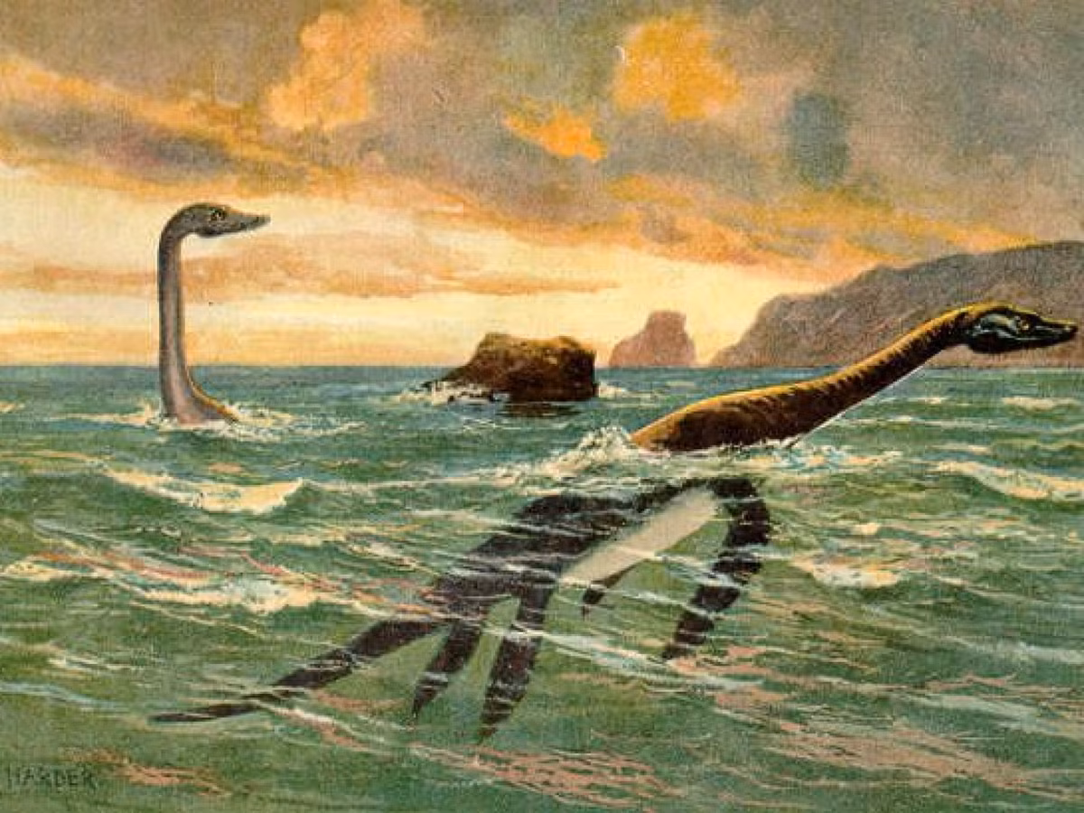 Nhà cổ sinh vật học Soledad Cavalli của CONICET cho biết bộ xương plesiosaur được tìm thấy ở Nam Cực trong tình trạng gần như hoàn hảo trong suốt hàng triệu năm.