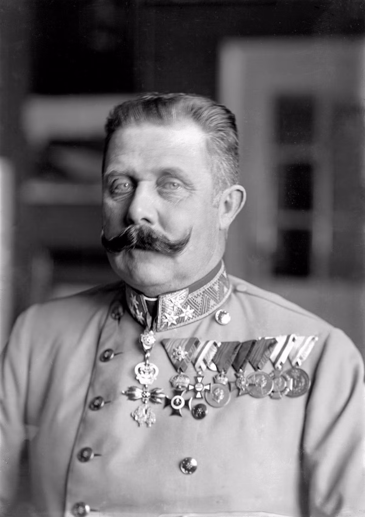 Vì vậy, khi biết tin thái tử Ferdinand đến Sarajevo để theo dõi một cuộc tập trận, tổ chức khủng bố Bàn Tay Đen đã lên kế hoạch ám sát ông. Người cầm đầu “Bàn tay đen” là đại tá Dragutin Dimitrijevic, bí danh Apis, đã lên kế hoạch cho vụ ám sát. Trong số những người tham gia vụ ám sát thái tử Ferdinand có Nedeljko Cabrinovic và Gavrilo Princip.