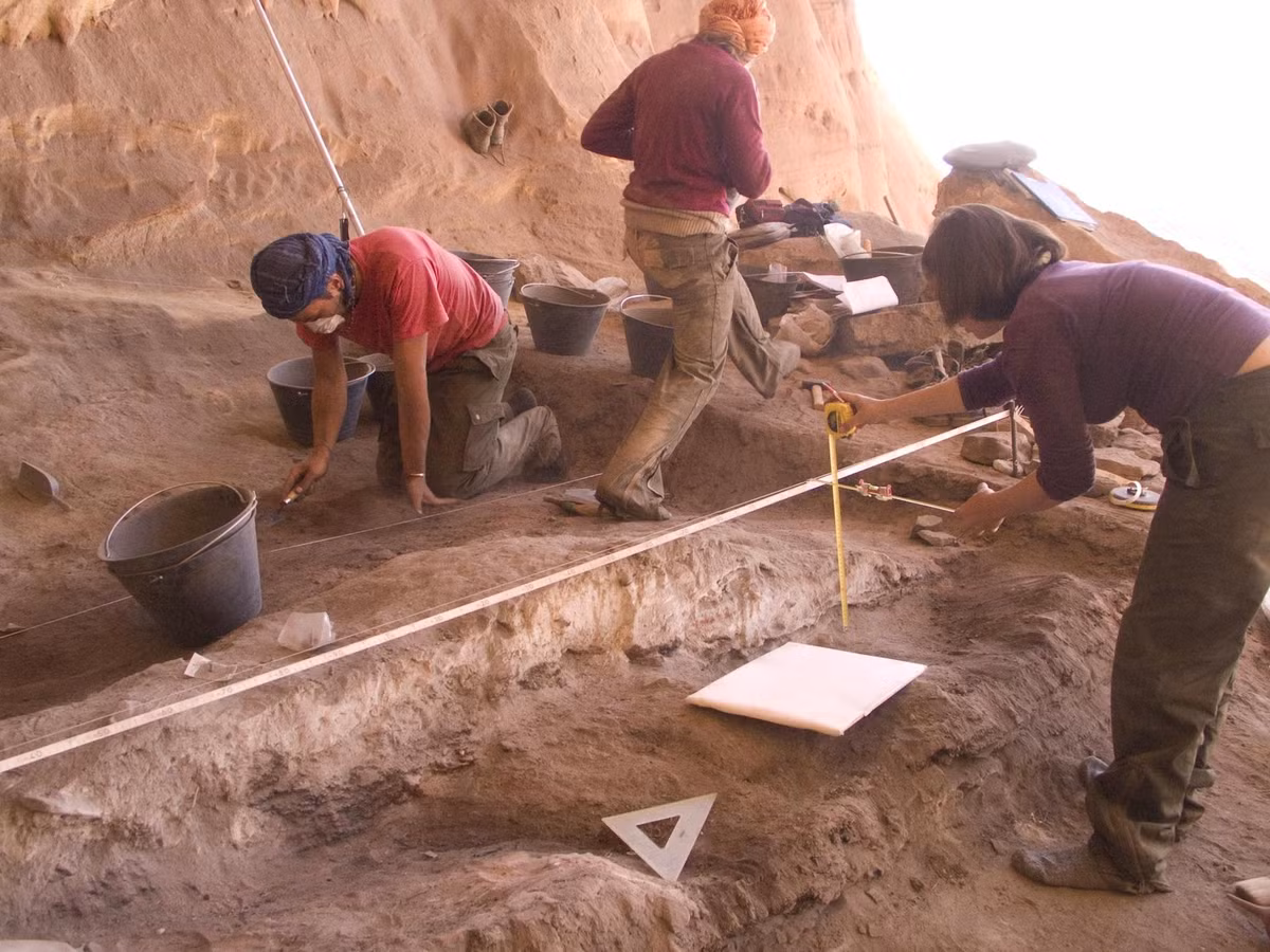 Ngoài ra, trong lòng sa mạc Sahara, các chuyên gai tìm thấy nhiều hóa thạch các loài động vật bao gồm cả khủng long, đồ tạo tác của tổ tiên loài người...