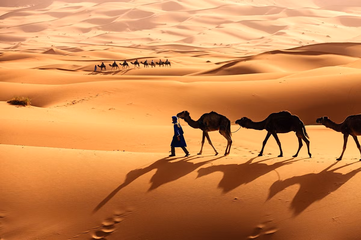Với diện tích khoảng 9,4 triệu km2 trải rộng trên 11 quốc gia Bắc Phi, sa mạc Sahara là một trong những sa mạc lớn nhất và nổi tiếng nhất thế giới. Nhiệt độ ở đây có thể lên tới 58 độ C. Sa mạc này liên tục phả ra luồng không khí khô và nóng vào bầu khí quyển.