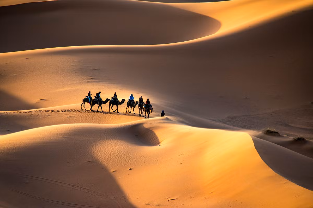 Từ năm 1962 tới nay, các nhà khoa học ước tính sa mạc Sahara đã mở rộng thêm gần 650.000 km2.