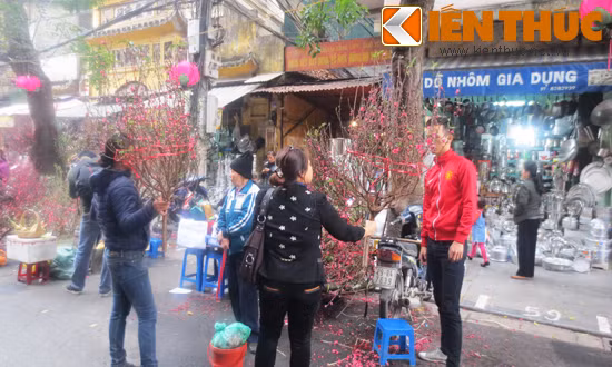 Các loại hoa tươi được bán tại đây cũng có giá khá "mềm" so với nhiều điểm bán trên thị trường. Đào phai, đào bích chỉ từ 160.000 – 400.000 đồng/cành, hoa thủy tiên bán với giá 150.000 - 200.000 đồng/chậu.