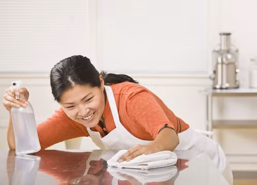Thông thường, mức giá thuê người dọn nhà dao động từ 400.000 – 700.000 cho 4 tiếng dọn dẹp. Đặc biệt, ngày cuối năm, các chung cư, nhà rộng trên 100 m2 có giá dao động từ 1,8 triệu đồng đến 2 triệu đồng (tương đương 20.000 đồng/m2). Các mức chi này đã bao gồm công cụ dọn dẹp và chất tẩy rửa để người làm thêm dọn dẹp cho khách hàng.