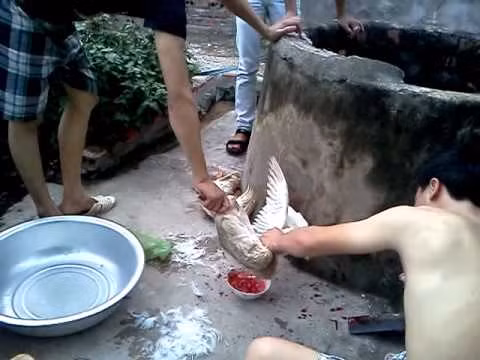 Ăn tiết canh đầu tháng lấy vận đỏ hay rước vận đen? - Hình 2 An tiet canh dau thang lay van do hay ruoc van den?-Hinh-2