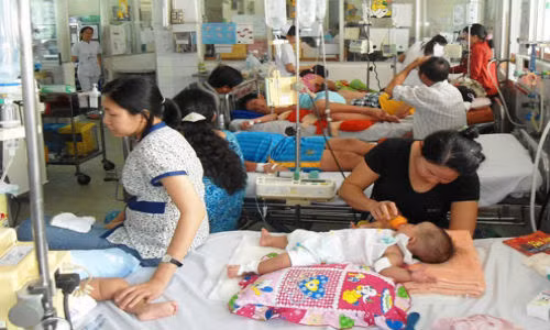 Hà Nội: Thêm một người tử vong vì sốt xuất huyết Ha Noi: Them mot nguoi tu vong vi sot xuat huyet