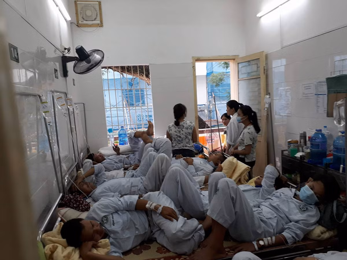 Bộ Y tế họp khẩn về dịch sốt xuất huyết ở HN Bo Y te hop khan ve dich sot xuat huyet o HN