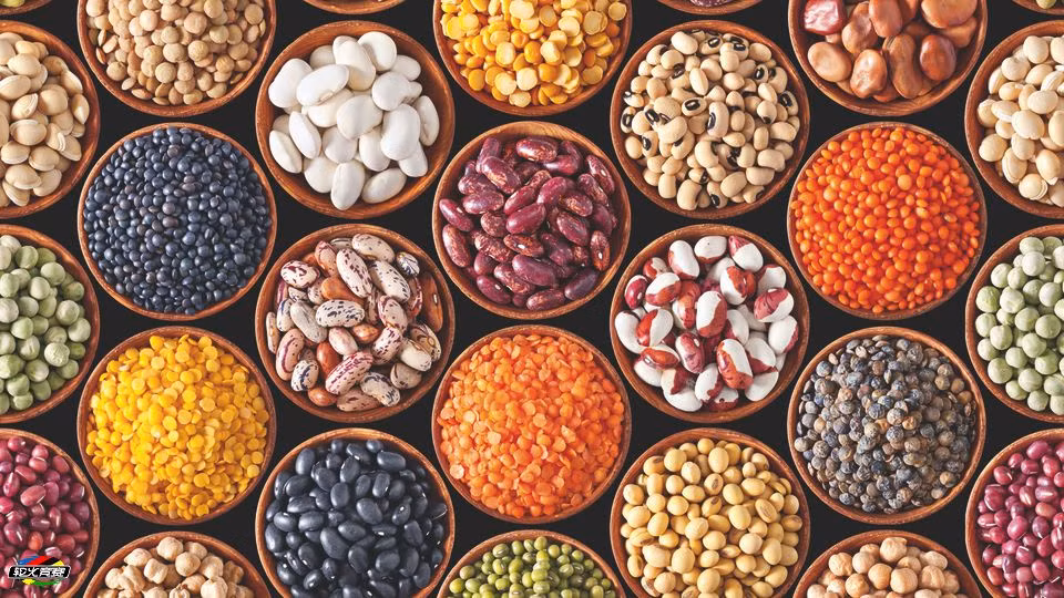 13. Họ nhà đậu: loại thực phẩm này giàu chất dinh dưỡng, đạm thực vật, protein chất lượng cao, axit folic, chất xơ, sắt, magiê và một lượng nhỏ canxi. giúp bạn giảm nguy cơ bị ung thư, giảm lượng cholesterol trong máu và triglyceride và ổn định lượng đường trong máu. Ảnh: cbike.