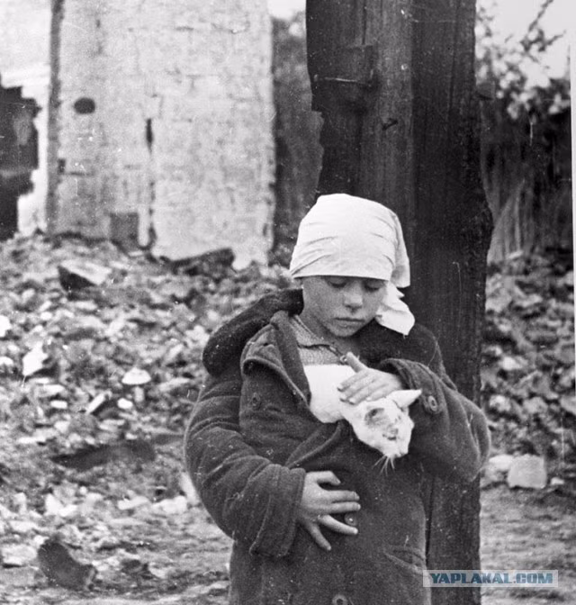 Hình ảnh chạm vào trái tim một bé gái ôm chặt chú mèo vào người. Đằng sau là ngôi nhà của em bị chiến tranh phá hủy hoàn toàn tại khu vực Smolensk hồi tháng 10/1941.