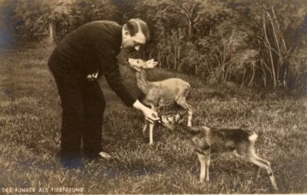 Khi lên nắm quyền vào năm 1933, Hitler và chính quyền Đức quốc xã đã thông qua những điều luật bảo vệ động vật.