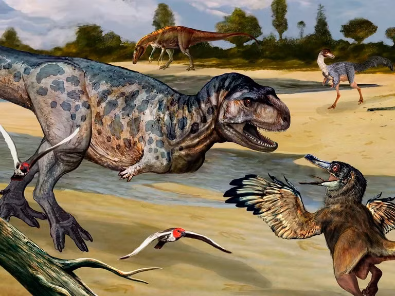 Chúng tồn tại từ thời kỳ Jurassic dựa trên hóa thạch, và một số chi sống đến cuối kỷ Phấn Trắng (khoảng 66 triệu năm trước).