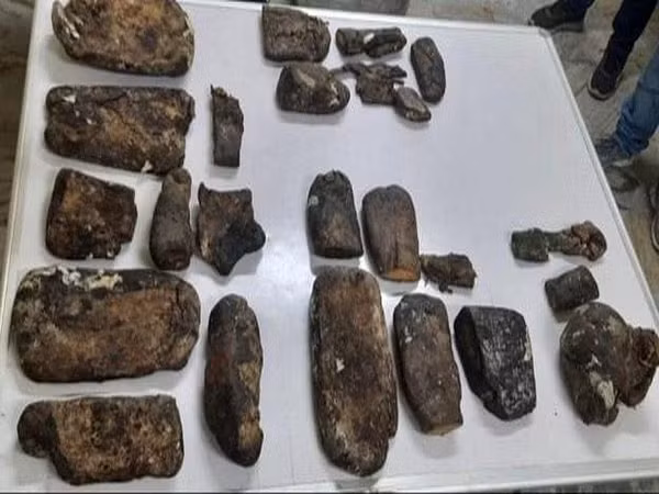 Hiện tại, Mỹ và Ấn Độ cấm mua bán long diên hương, nhưng nhiều quốc gia khác vẫn cho phép kinh doanh loại chất này.(Ảnh:ThePrint)