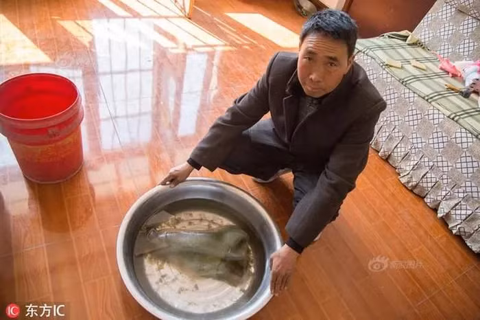Một công nhân ở Trung Quốc, trong khi làm việc trên công trường tại Thượng Hải, vô tình giẫm phải một vật thể lạ.