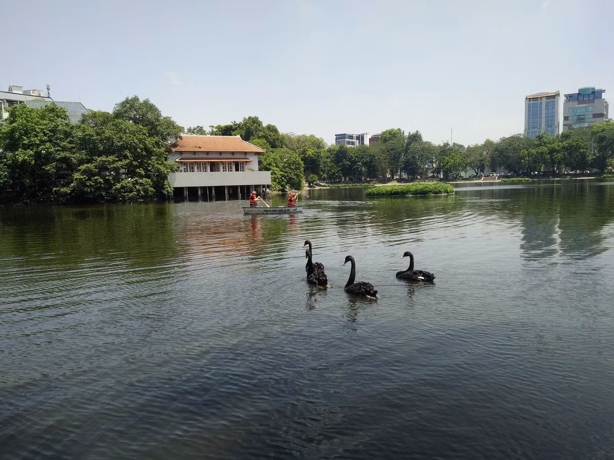 Phat hien thi the nguoi dan ong duoi ho Thien Quang, Ha Noi-Hinh-5