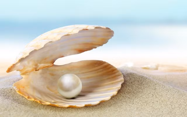 Loại đá quý hợp vận với người sinh ngày 2/6 là đá mặt trăng và ngọc trai.