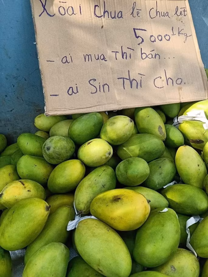 Những hình ảnh người dân Việt Nam giúp đỡ, động viên nhau trong mùa dịch COVID-19 xuất hiện khá nhiều ở thời điểm này. Khoảnh khắc đó khiến đông đảo dư luận không khỏi xúc động.