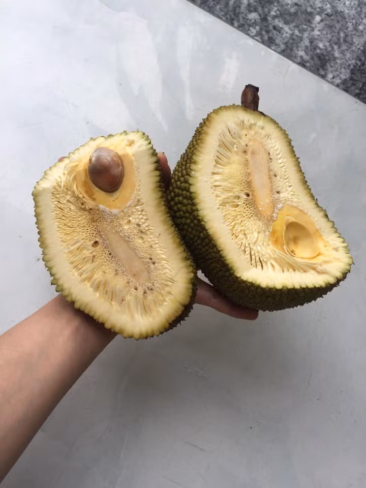 Mua mấy quả như mít, sầu riêng, dưa hấu… là không thể mua đại hay nghe lời chủ quán được mà phải thực sự biết chọn.