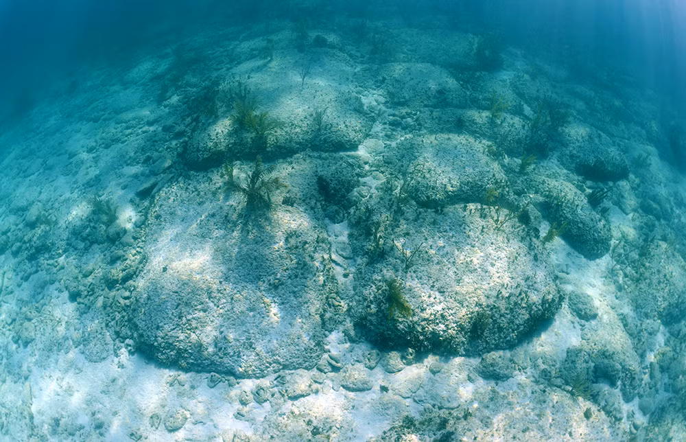 Một số chuyên gia hoài nghi "Đường Bimini" có thể là tàn tích của thành phố huyền thoại Atlantis đã biến mất từ lâu. Kết quả xác định niên đại những khối đá tại đó cho thấy chúng có tuổi đời khoảng 2.000 năm. Thông tin này trở thành bằng chứng cho thấy "Đường Bimini" không liên quan đến Atlantis bởi thành phố huyền thoại này được cho đã chìm xuống biển vào khoảng 12.000 năm trước.