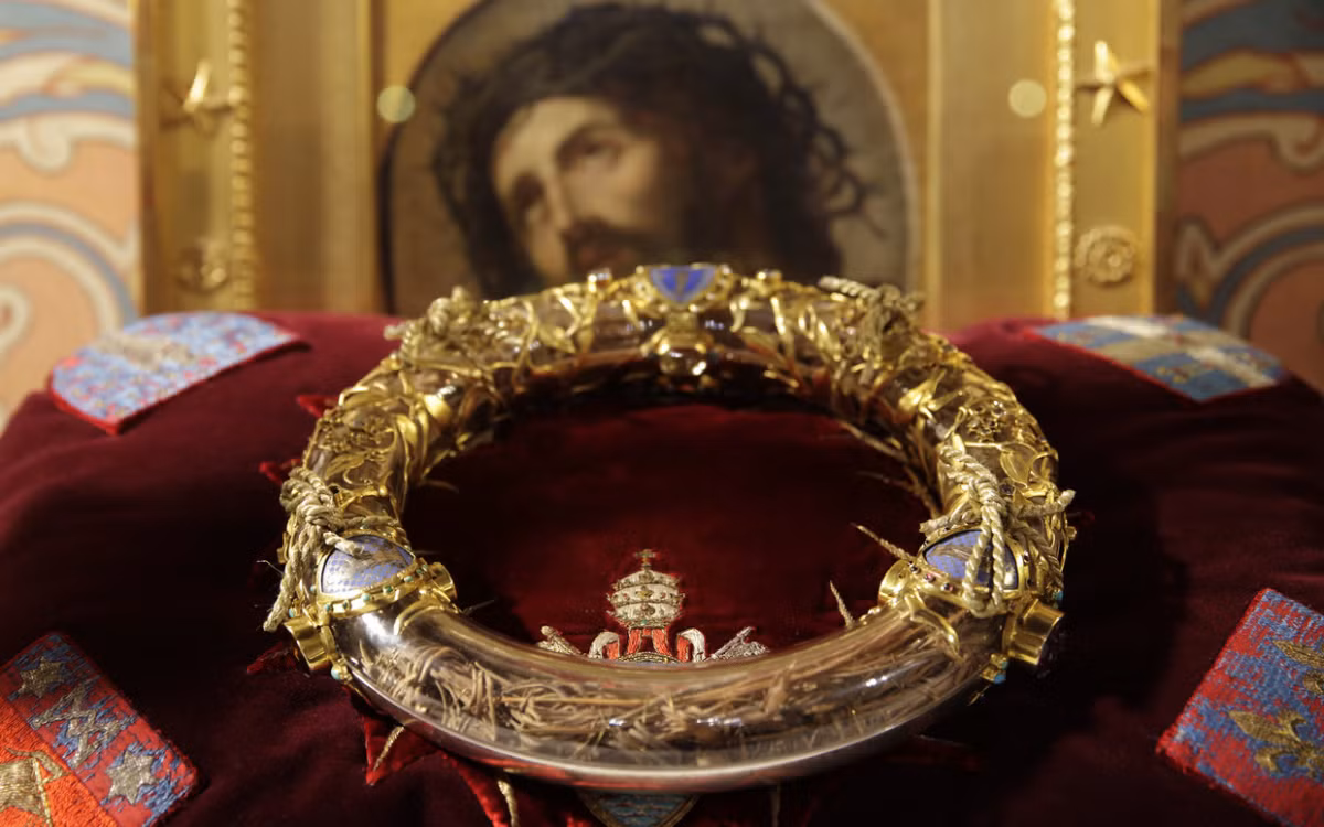Trong Kinh Thánh, binh lính La Mã đã bện mão gai để nhạo báng Chúa Jesus là “Vua của Do Thái”, và làm gai nhọn đâm vào đầu Ngài khi đội.