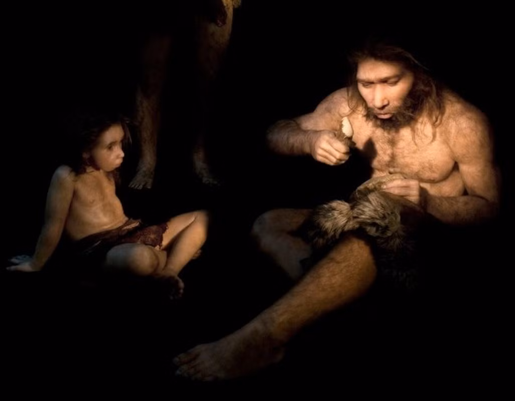 Giáo sư Chris Stringer cho hay, dựa trên dữ liệu gene di truyền, nhóm nghiên cứu của ông phát hiện người Neanderthal và người Tinh khôn (Homo sapien) lần đầu tiên tiếp xúc thân mật sau khi người Tinh khôn bắt đầu rời khỏi châu Phi khoảng 250.000 năm trước.