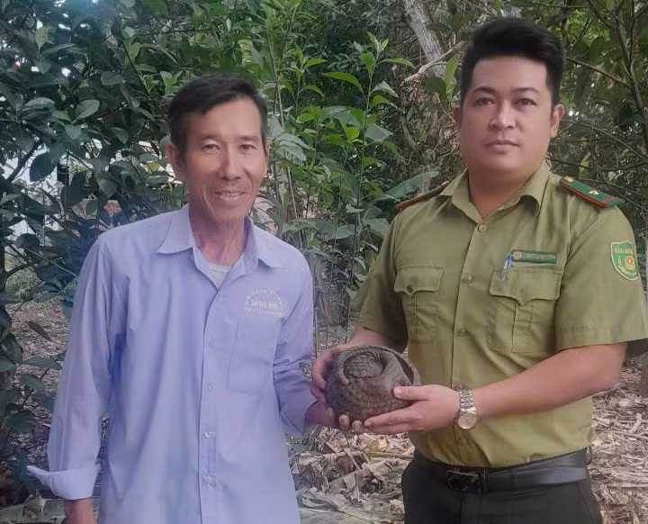 Ban giao 3 ca the dong vat hoang da quy hiem cho Kiem lam