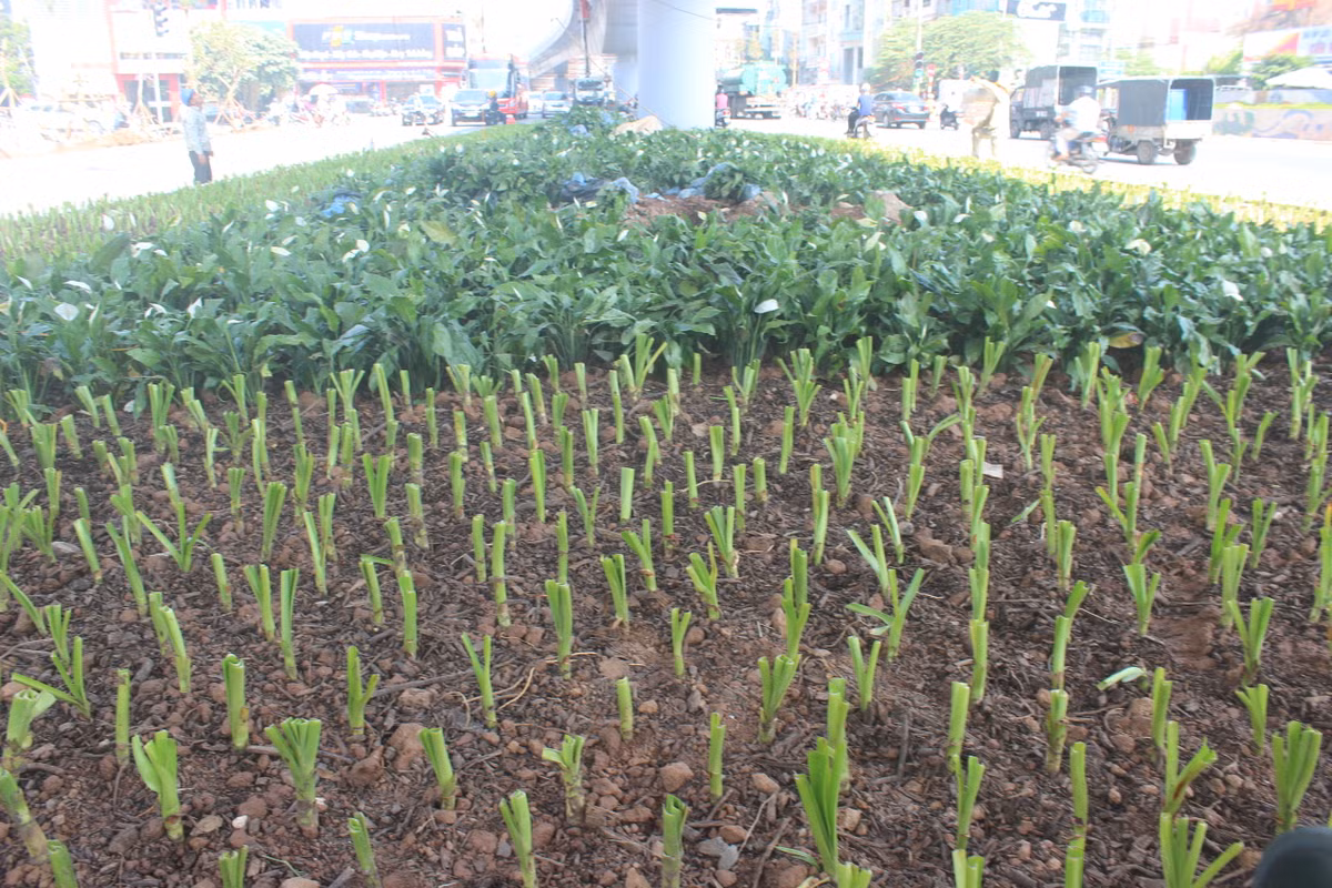Ha Noi: Can canh cau vuot An Duong 312 ty dong sap thong xe-Hinh-6