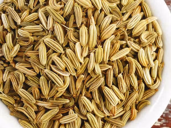 Hạt cây thì là có chứa các chất flavonoid giúp tăng quá trình tiết nước bọt. Bạn có thể nhai trực tiếp một vài hạt thì là để trị khô miệng và trị hôi miệng.