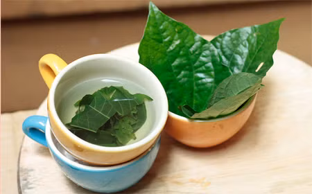 Lá lốt tươi 20g + 300ml nước, sắc còn 100ml thì uống khi nóng (trước bữa ăn tối), dùng liền 2 – 3 ngày. Ảnh: Mogo.vn