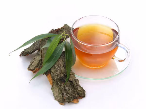 Vỏ cây liễu trắng. Liễu trắng nổi tiếng nhất trong số 300 loài cây liễu. Vỏ cây của nó từ lâu nổi tiếng là một thuốc giảm đau tự nhiên. Liễu trắng chứa một glucoside gọi là salicin với đặc tính kháng viêm và chống đau đầu. Một nghiên cứu được công bố đã phát hiện ra rằng salicin trong liễu trắng có hiệu quả giảm đau cao hơn so với thuốc.