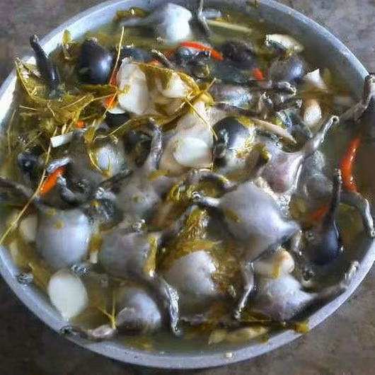 Tuy nhiên, ếch òn lại được đánh giá là món ăn giàu chất đạm, ngọt thịt, thơm, mềm như thịt lợn. Cách chế biến ếch òn cũng rất đa dạng như luộc, nướng, chiên giòn, làm gỏi và nổi tiếng nhất là món canh chua ếch òn nấu lá me non.