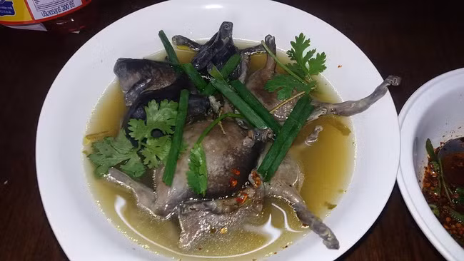 Với món canh chua, ếch òn sau khi bắt về sẽ được sơ chế sạch bằng nước ấm như trên. Tiếp đó, cắt chúng ra thành từng miếng nhỏ, ướp hành, ớt, đường, nước mắm rồi bỏ vào chảo xào tái một chút cho dậy mùi.
