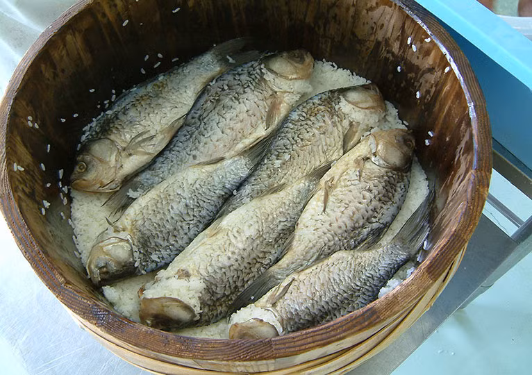 Thời điểm lý tưởng nhất để làm món Funazushi là vào mùa xuân, khi tiết trời ở Nhật ấm áp hơn. Hồ nước ngọt Biwa lúc ấy có rất nhiều cá trong độ tuổi sinh sản và bụng có rất nhiều trứng.