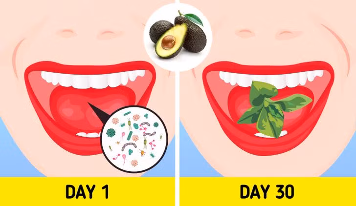 2. Hơi thở trở nên thơm mát hơn: Nếu bạn đang tìm kiếm một loại thức uống giải khát tự nhiên, thì đã đến lúc nghĩ đến quả bơ. Loại trái cây này có hoạt tính kháng khuẩn cao và ăn một quả bơ mỗi ngày có thể loại bỏ vi khuẩn khỏi miệng và làm sạch nó.